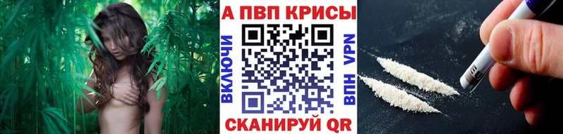 Купить где  Оленегорск  Alpha-PVP мука 