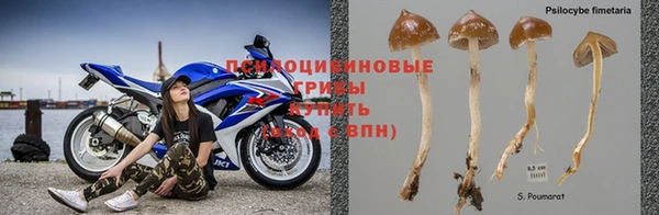 гидропоника Иннополис