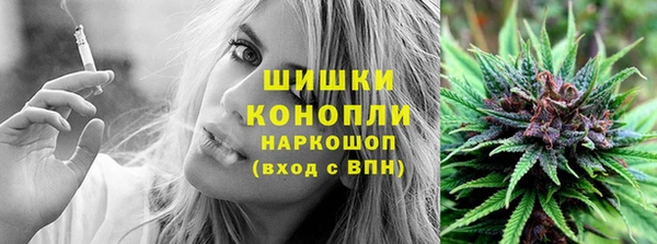 гидропоника Иннополис