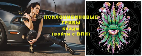 ECSTASY Инта