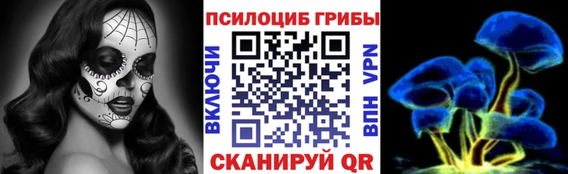 Купить где  Оленегорск  Псилоцибиновые грибы Magic Shrooms 